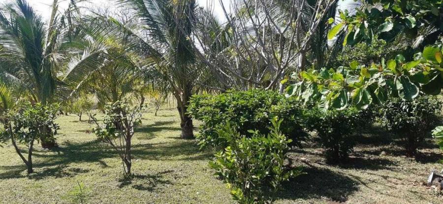 Foto Terreno en Venta en Liberia, Guanacaste - ¢ 135.000.000 - TEV53223 - BienesOnLine