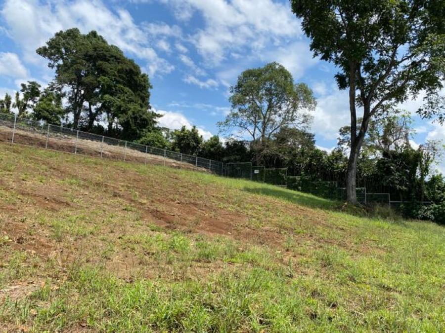 Foto Terreno en Venta en Naranjo, Rosario, Alajuela - ¢ 39.000.000 - TEV54858 - BienesOnLine