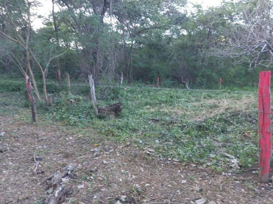 Foto Terreno en Venta en Nicoya, Nicoya, Guanacaste - ¢ 9.000.000 - TEV51542 - BienesOnLine