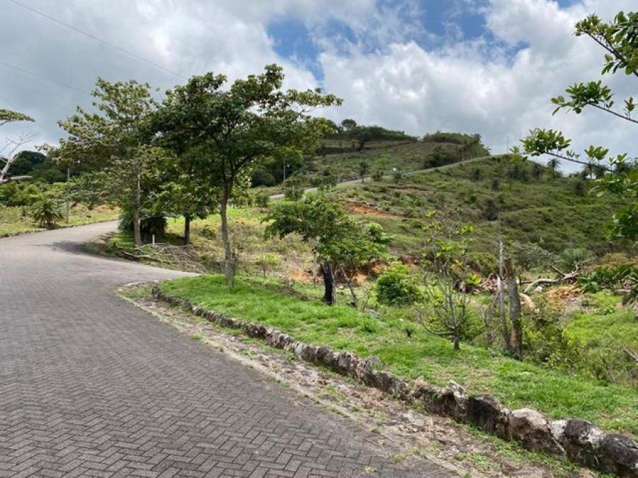 Foto Terreno en Venta en Orotina, Orotina, Alajuela - ¢ 38.000.000 - TEV53494 - BienesOnLine