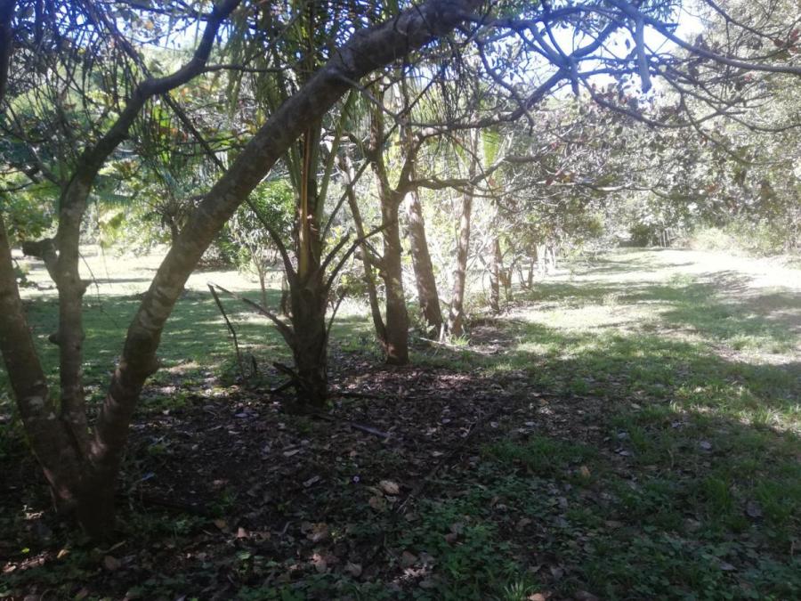 Foto Terreno en Venta en Orotina, Orotina, Alajuela - U$D 86.300 - TEV39563 - BienesOnLine