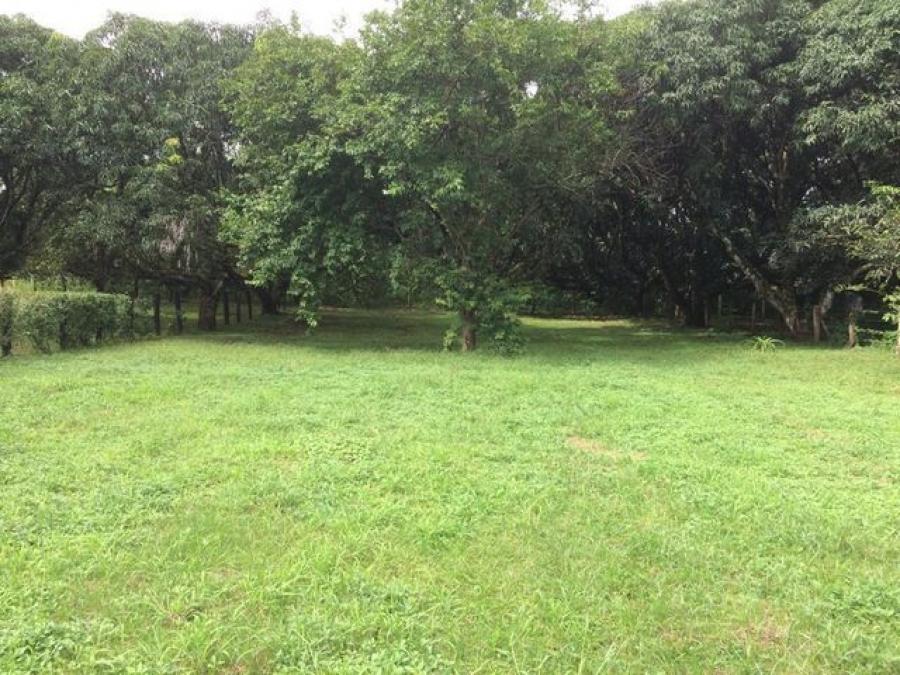 Foto Terreno en Venta en Orotina, Orotina, Alajuela - U$D 40.000 - TEV36067 - BienesOnLine