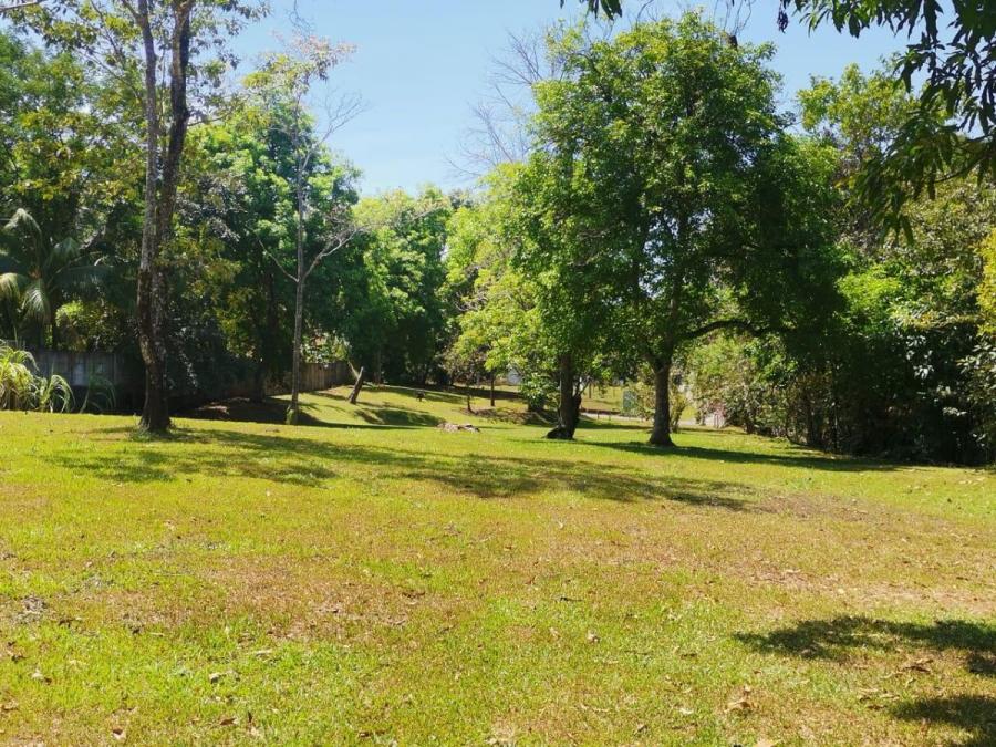 Foto Terreno en Venta en Orotina, Alajuela - U$D 116.300 - TEV116578 - BienesOnLine