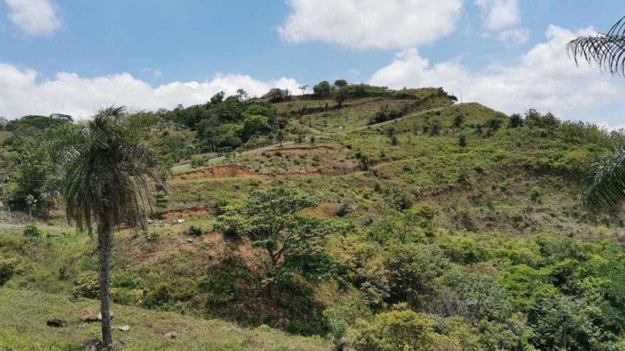 Foto Terreno en Venta en Orotina, Alajuela - U$D 106.406 - TEV131877 - BienesOnLine