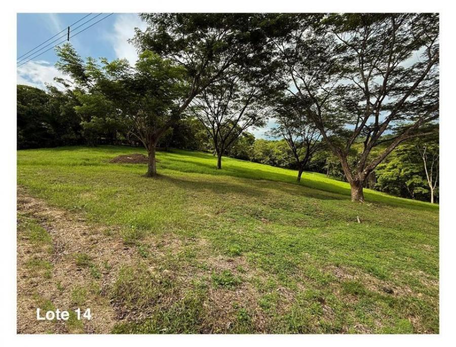 Foto Terreno en Venta en Orotina, Alajuela - U$D 110.088 - TEV131207 - BienesOnLine