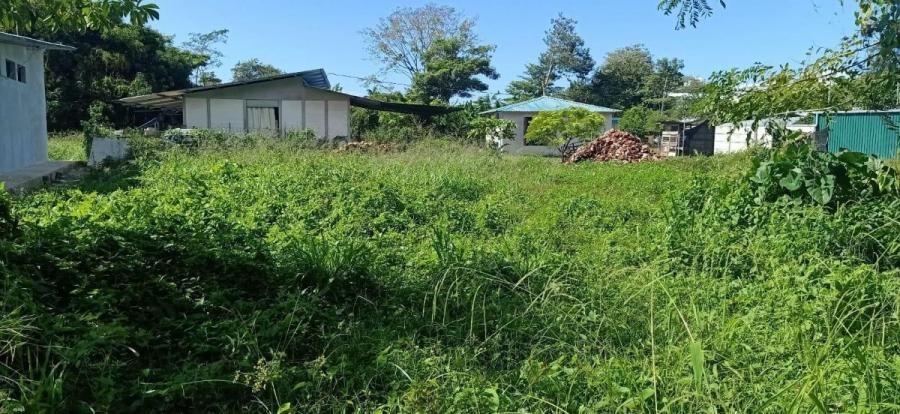 Foto Terreno en Venta en Osa, Puntarenas - U$D 111.100 - TEV118584 - BienesOnLine