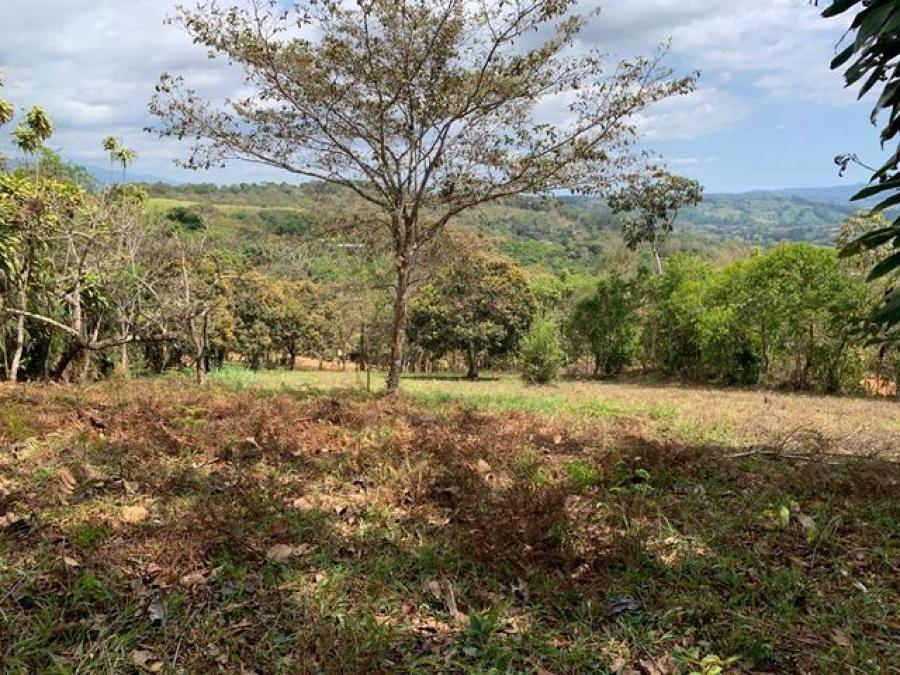 Foto Terreno en Venta en El Rosario de Pacuar, Perez Zeledn, San Jos - ¢ 33.000.000 - TEV50227 - BienesOnLine