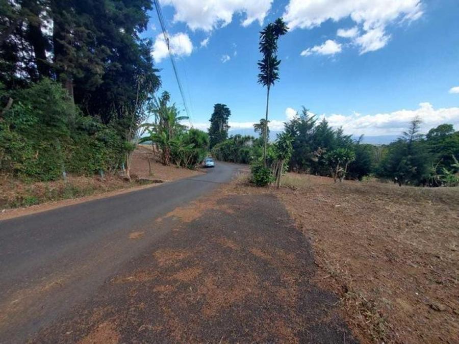 Foto Terreno en Venta en Barrio, Pos, Alajuela - ¢ 90.000.000 - TEV47030 - BienesOnLine