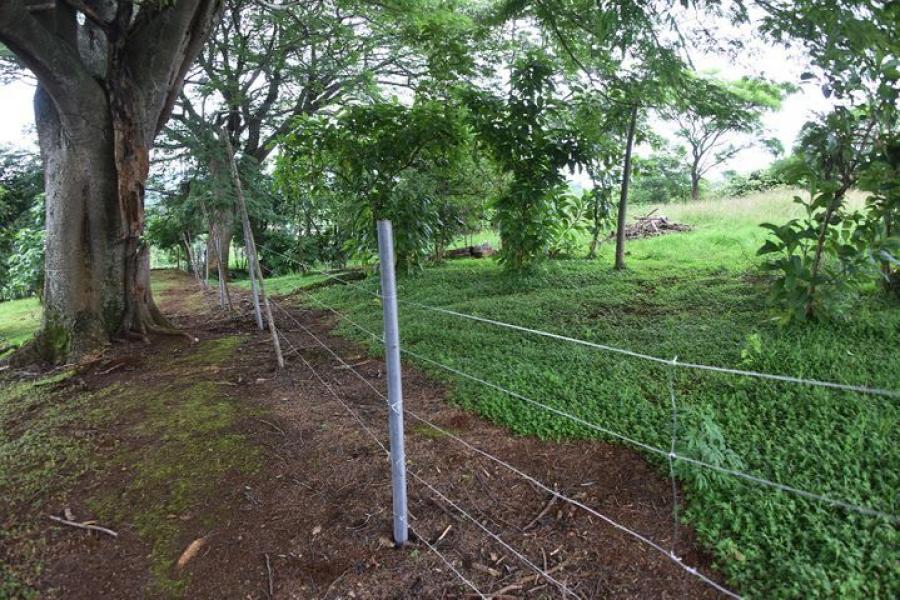 Foto Terreno en Venta en Bajo Carrillos, Pos, Alajuela - U$D 690.000 - TEV51155 - BienesOnLine