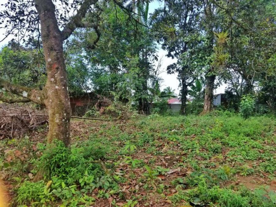 Foto Terreno en Venta en Pococ, Pococ, Limn - U$D 24.965 - TEV38317 - BienesOnLine