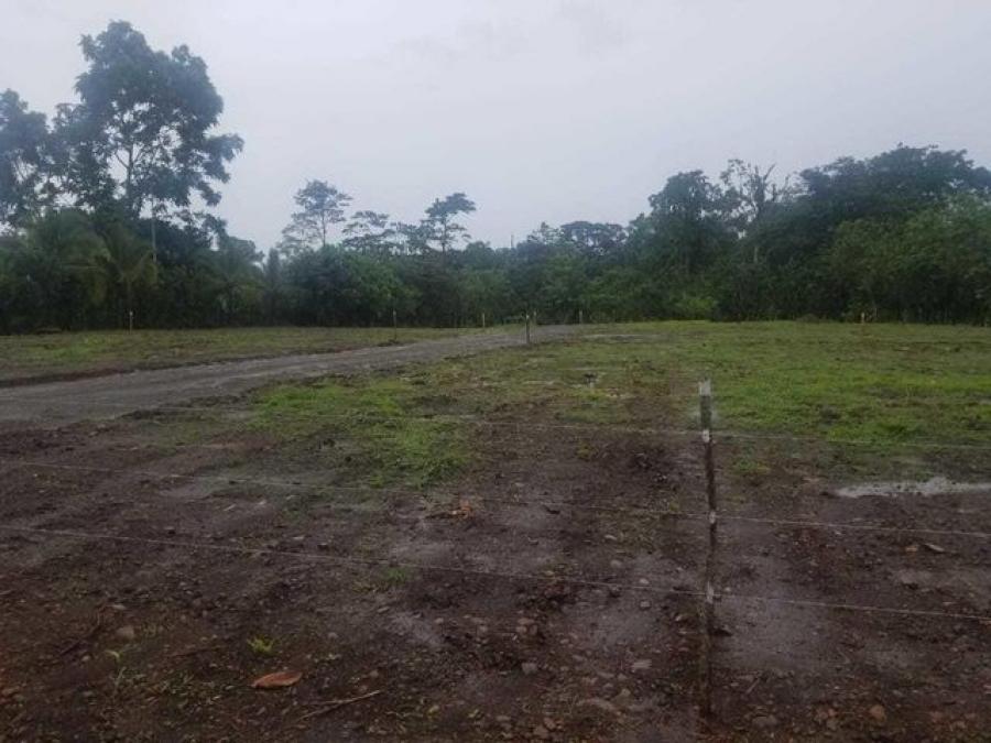 Foto Terreno en Venta en Pococ, Limn - ¢ 11.000.000 - TEV57547 - BienesOnLine