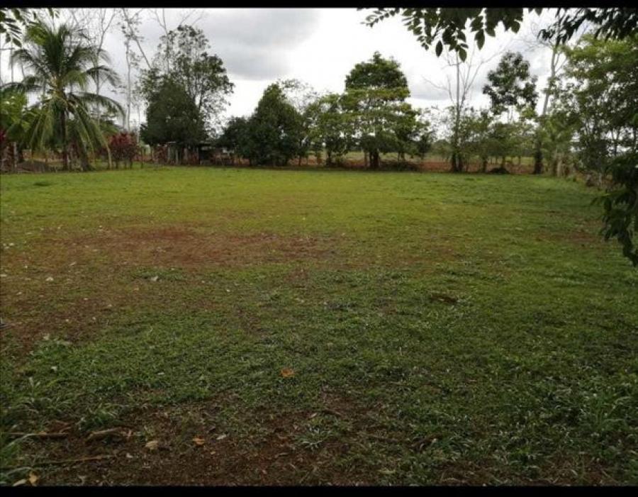 Foto Terreno en Venta en San Carlos, San Carlos, Alajuela - ¢ 15.000.000 - TEV46223 - BienesOnLine