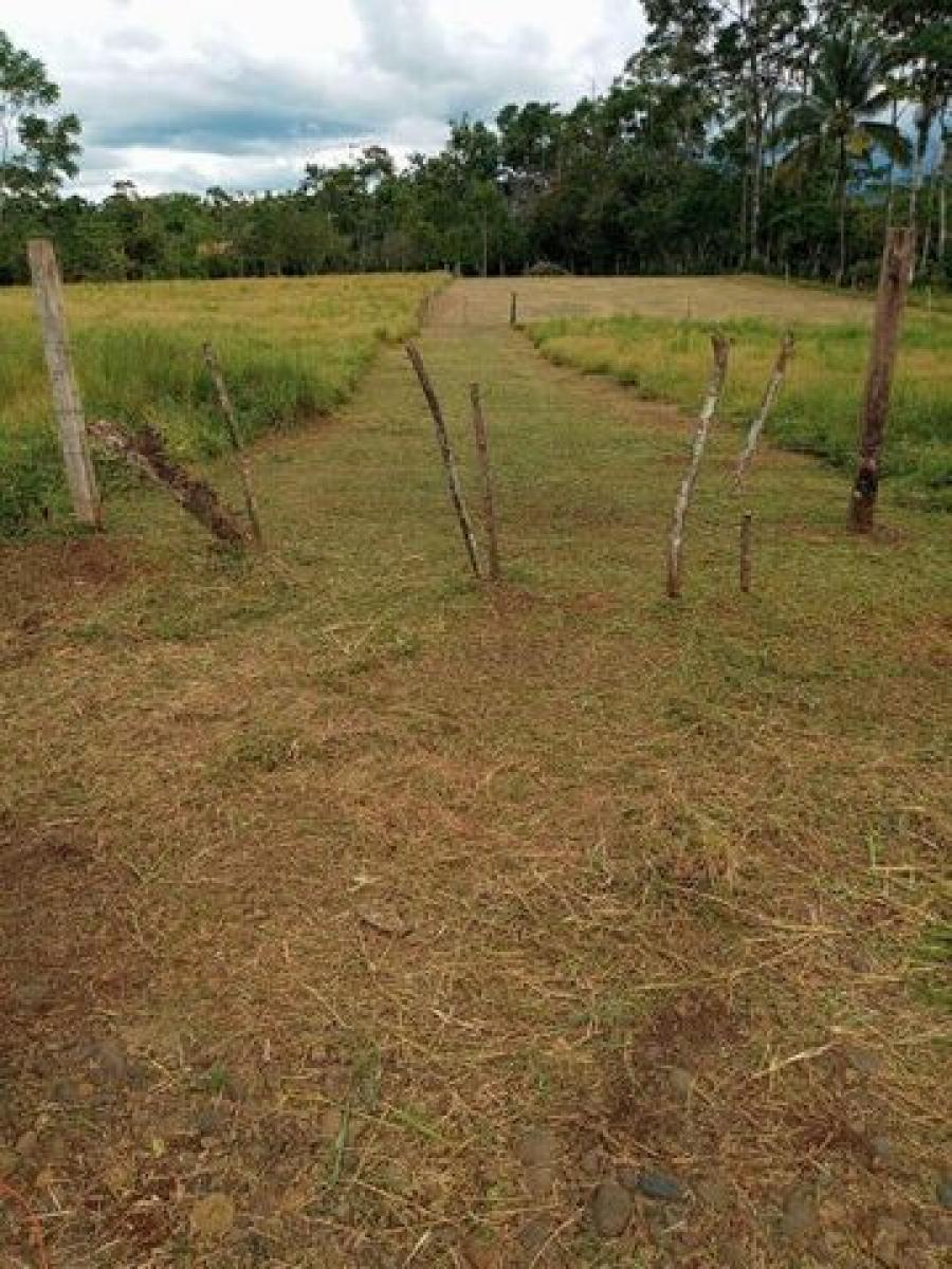 Foto Terreno en Venta en La Tigra, San Carlos, Alajuela - ¢ 23.000.000 - TEV47863 - BienesOnLine