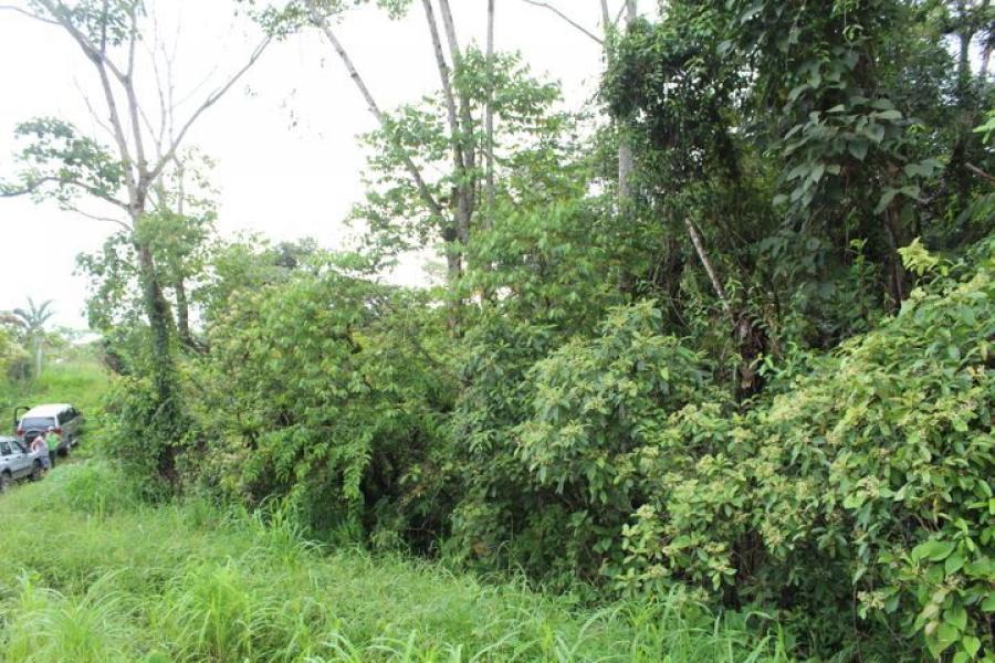 Foto Terreno en Venta en San Cristbal, Perez Zeledn, San Jos - ¢ 40.000.000 - TEV55658 - BienesOnLine