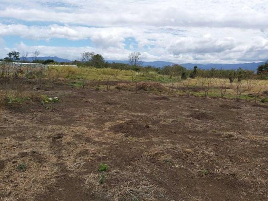 Foto Terreno en Venta en San Francisco, Heredia - U$D 800.000 - TEV57759 - BienesOnLine