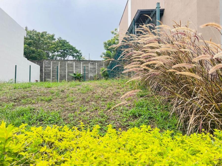 Foto Terreno en Venta en San Isidro, Alajuela - ¢ 40.000.000 - TEV119159 - BienesOnLine