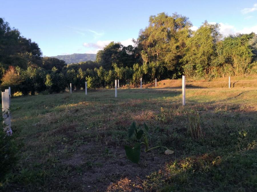 Foto Terreno en Venta en San Jose de La MOntaa, Heredia - ¢ 42.000.000 - TEV80155 - BienesOnLine