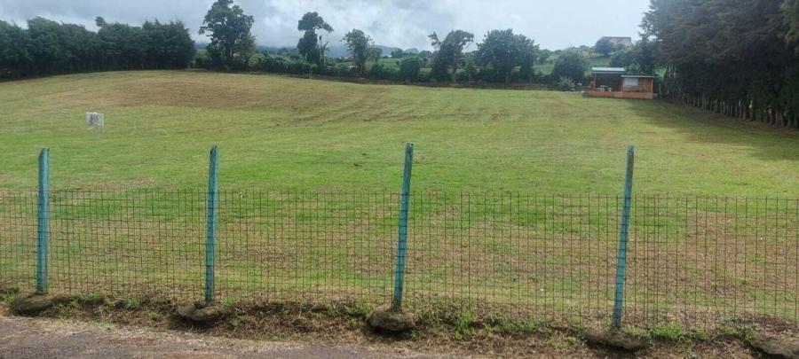 Foto Terreno en Venta en San Nicolás, Cartago - ¢ 225.000.000 - TEV118807 - BienesOnLine