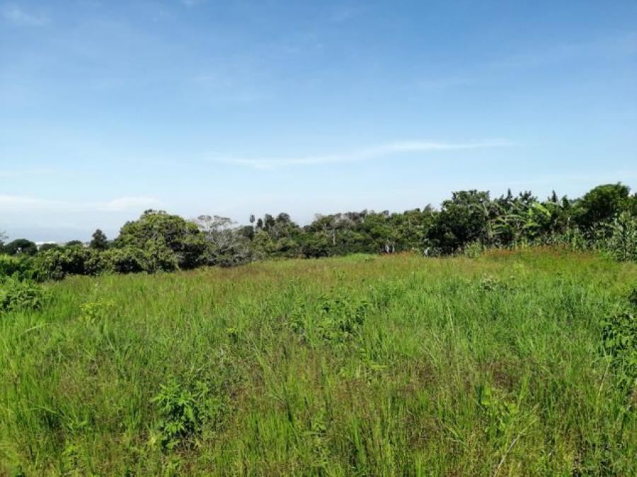 Foto Terreno en Venta en Concepcin, San Rafael, Heredia - ¢ 135.000.000 - TEV56234 - BienesOnLine