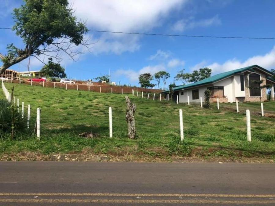 Foto Terreno en Venta en San Ramn, San Ramn, Alajuela - ¢ 43.000.000 - TEV47973 - BienesOnLine