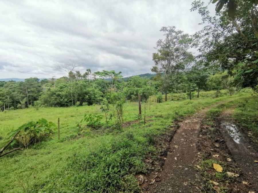 Foto Terreno en Venta en San Ramon, San Ramn, Alajuela - ¢ 32.300.000 - TEV48729 - BienesOnLine