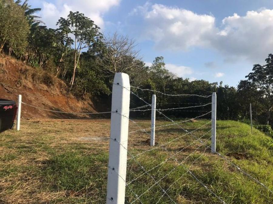 Foto Terreno en Venta en San Ramn, San Ramn, Alajuela - ¢ 26.000.000 - TEV50975 - BienesOnLine