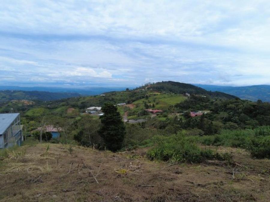 Foto Terreno en Venta en San Ramn, San Ramn, Alajuela - ¢ 100.000.000 - TEV50999 - BienesOnLine