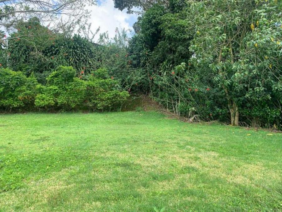 Foto Terreno en Venta en San Ramn, Alajuela - ¢ 26.000.000 - TEV52186 - BienesOnLine