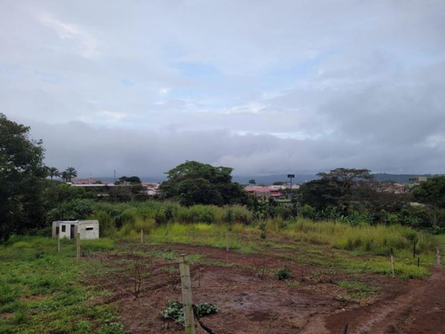 Foto Terreno en Venta en San Ramn, Alajuela - ¢ 107.000.000 - TEV52431 - BienesOnLine