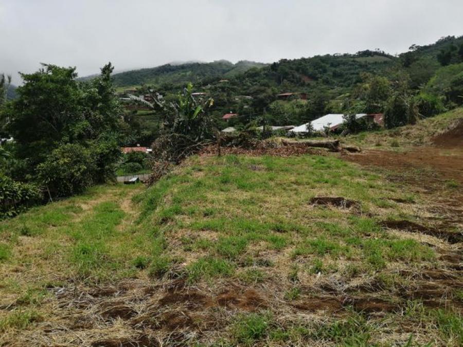 Foto Terreno en Venta en Bajo de la Paz, San Ramn, Alajuela - ¢ 40.000.000 - TEV53368 - BienesOnLine