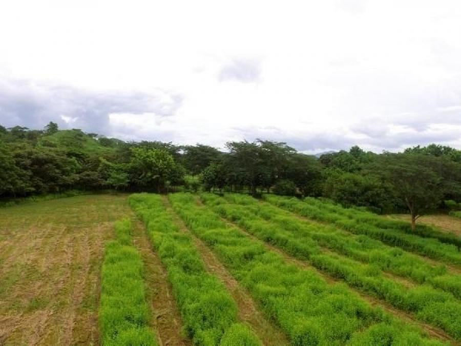 Foto Terreno en Venta en Santa Cruz, Santa Cruz, Guanacaste - U$D 125.000 - TEV38140 - BienesOnLine