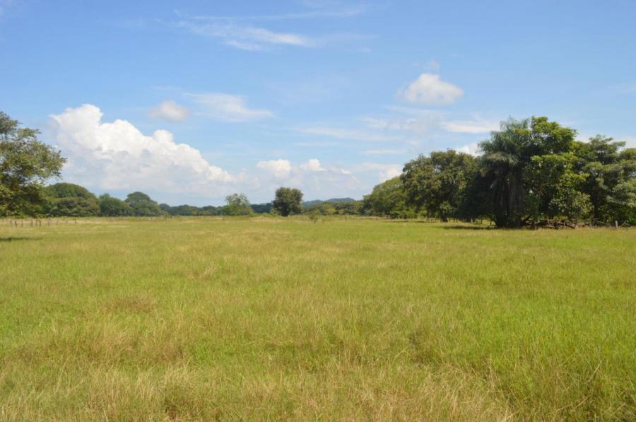 Foto Terreno en Venta en Santa Cruz, Santa Cruz, Guanacaste - U$D 115.000 - TEV37370 - BienesOnLine