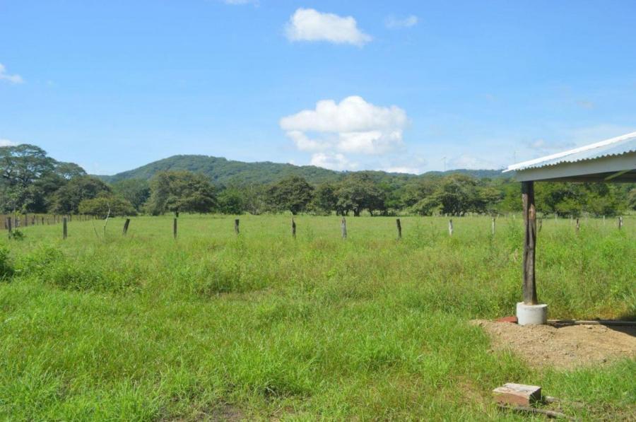 Foto Terreno en Venta en Santa Cruz, Santa Cruz, Guanacaste - U$D 245.000 - TEV37371 - BienesOnLine