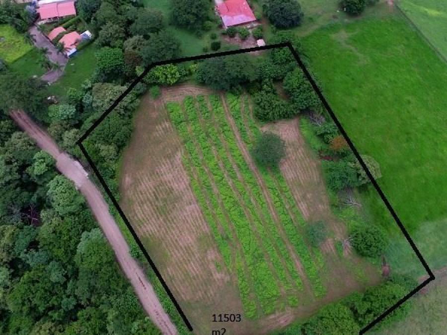 Foto Terreno en Venta en Santa Cruz, Santa Cruz, Guanacaste - ¢ 243.000.000 - TEV53525 - BienesOnLine