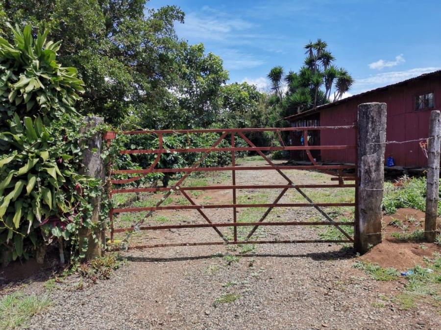 Home in Metric Way