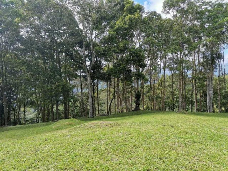 Foto Terreno en Venta en Turrialba, Turrialba, Cartago - U$D 70.000 - TEV37636 - BienesOnLine