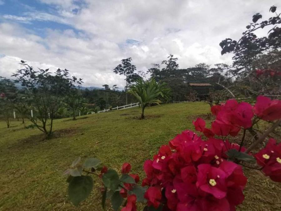 Foto Terreno en Venta en Turrialba, Cartago - ¢ 84.000.000 - TEV52020 - BienesOnLine