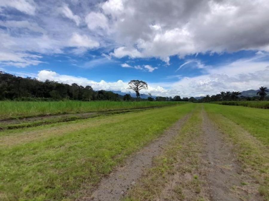 Foto Terreno en Venta en Turrialba, Cartago - U$D 2.916.214 - TEV52180 - BienesOnLine