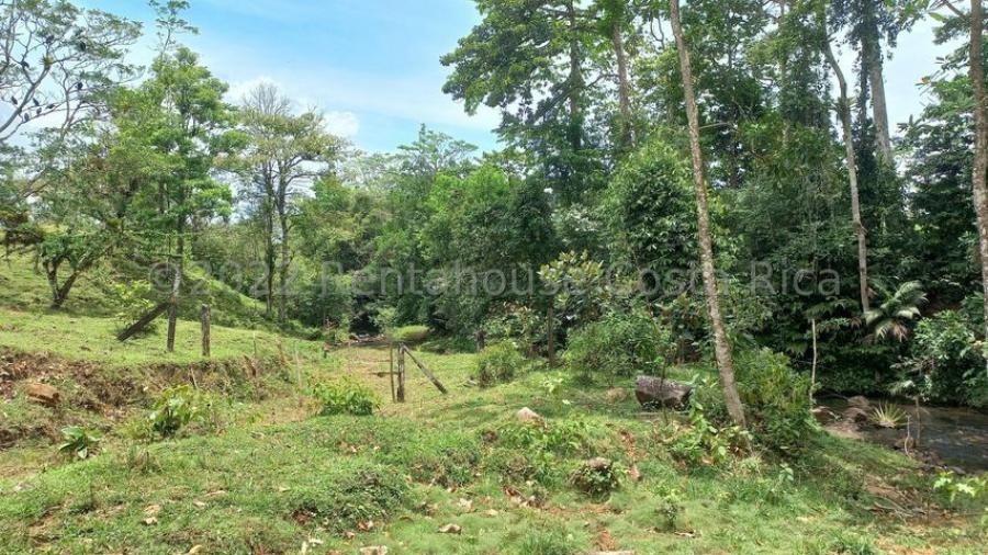 Foto Terreno en Venta en Alajuela, Alajuela - ¢ 57.000.000 - TEV59253 - BienesOnLine