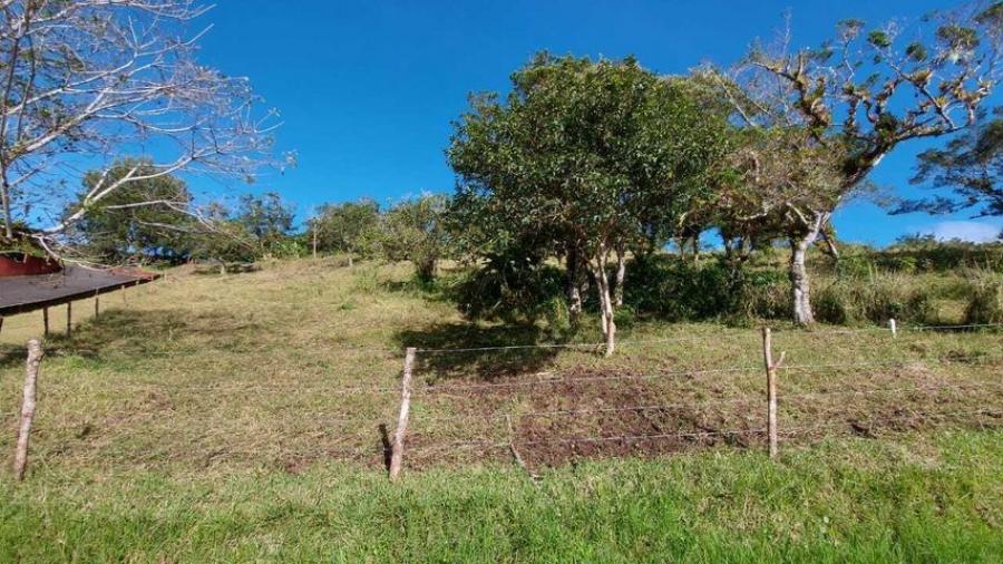 Foto Terreno en Venta en Zurqu, Moravia, San Jos - U$D 249.000 - TEV56683 - BienesOnLine