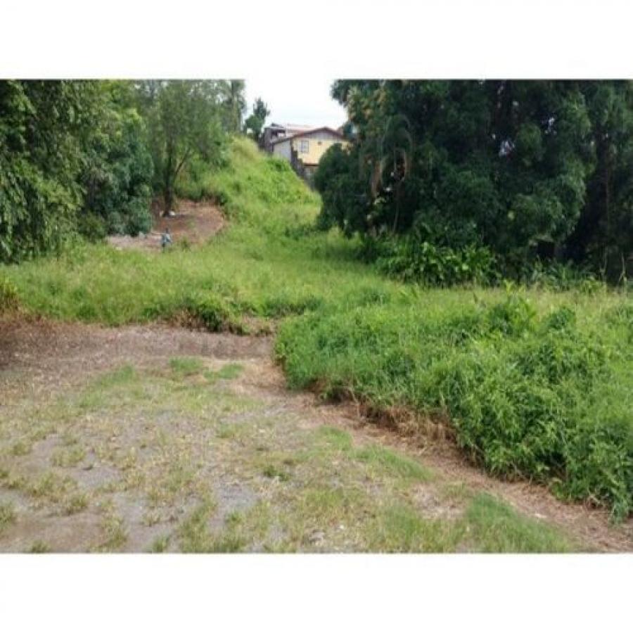 Foto Terreno en Venta en Limn, Limn - ¢ 200.000.000 - TEV87033 - BienesOnLine