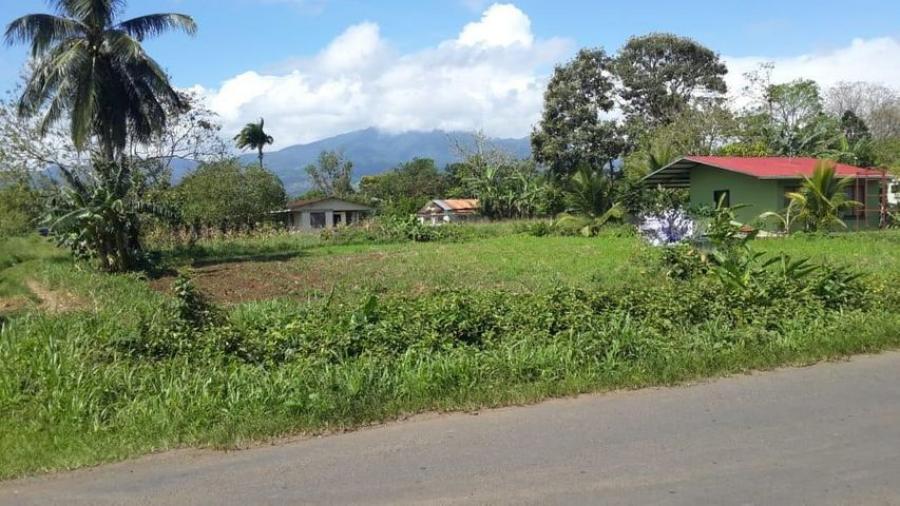 Foto Terreno en Venta en San Carlos, Alajuela - U$D 30.722 - TEV56700 - BienesOnLine