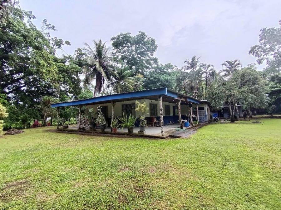 Foto Finca en Venta en Guácimo, Limón - &cent; 58.000.000 - FIV124983 - BienesOnLine