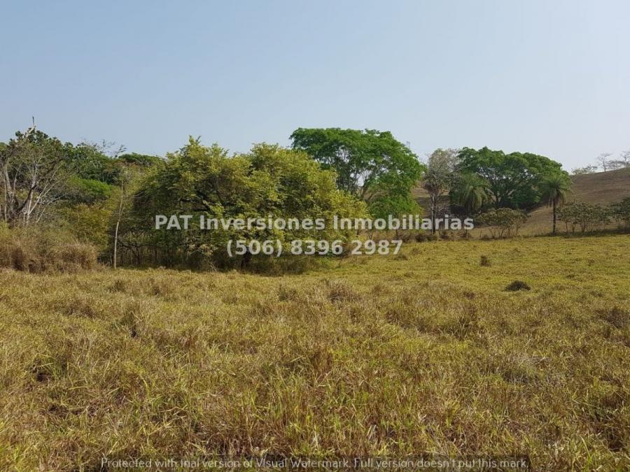 Foto Terreno en Venta en Esparza, Puntarenas - ¢ 612.000.000 - TEV63520 - BienesOnLine