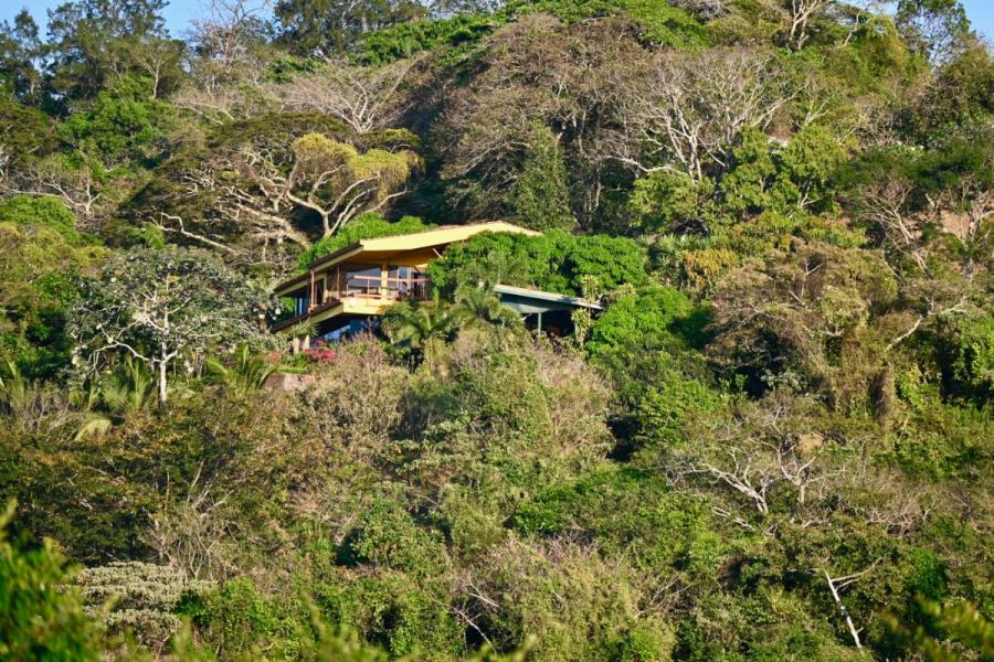 Foto Finca en Venta en Mora, San José - U$D 1.650.000 - FIV76151 - BienesOnLine