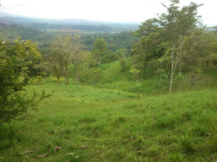Foto Finca en Venta en Parrita, Puntarenas - U$D 900.000 - FIV3886 - BienesOnLine