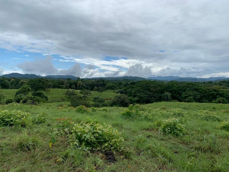 Foto Finca en Venta en PLAYA VENADO, Santa Cruz, Guanacaste - 55 hectareas - U$D 2.500.000 - FIV74819 - BienesOnLine