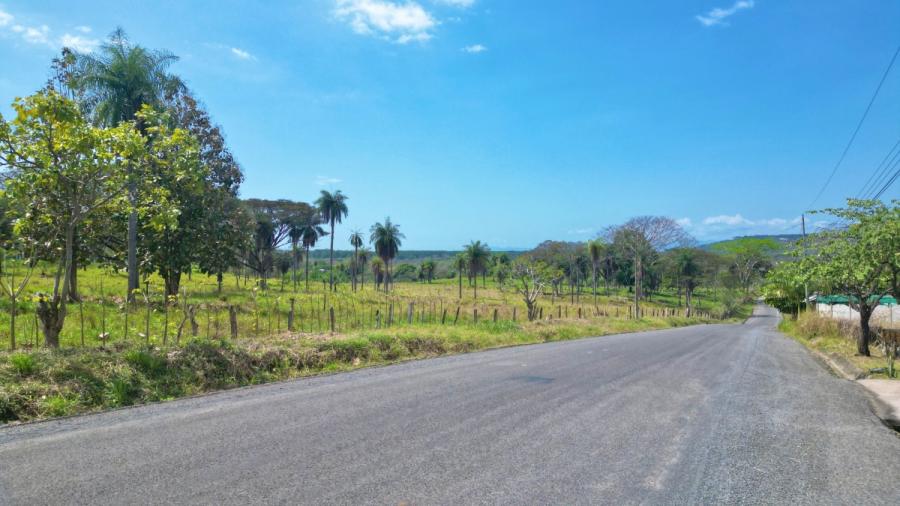 Foto Terreno en Venta en Orotina, Alajuela - 24 hectareas - U$D 4.410.000 - TEV83727 - BienesOnLine