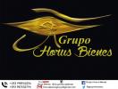 HORUS BIENES RAICES