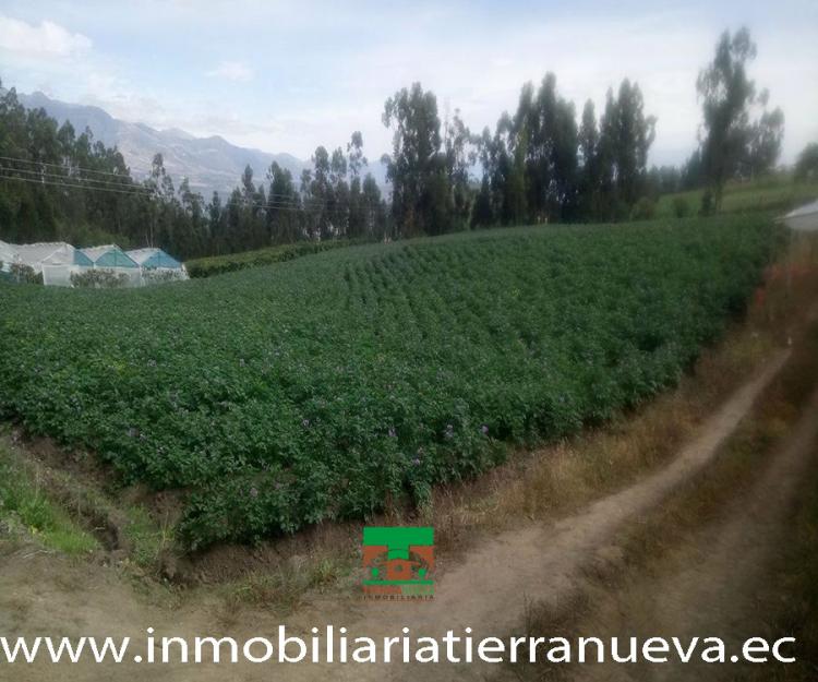 Foto Terreno en Arriendo por temporada en atuntaqui, atuntaqui, Imbabura - U$D 370.000 - TET26454 - BienesOnLine